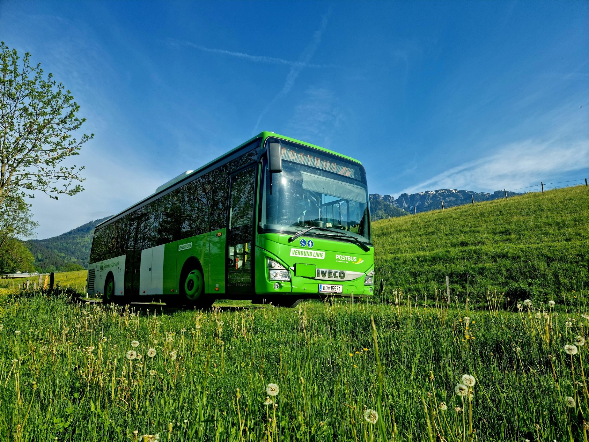 Erlebe die Faszination Bus beim Infostand der Postbus AG