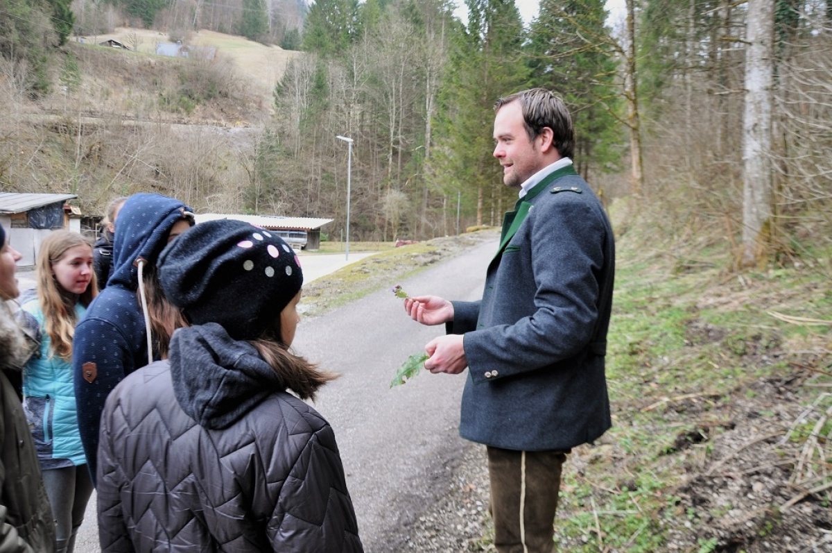 Tag des Waldes im Natur- und Geopark Steirische Eisenwurzen