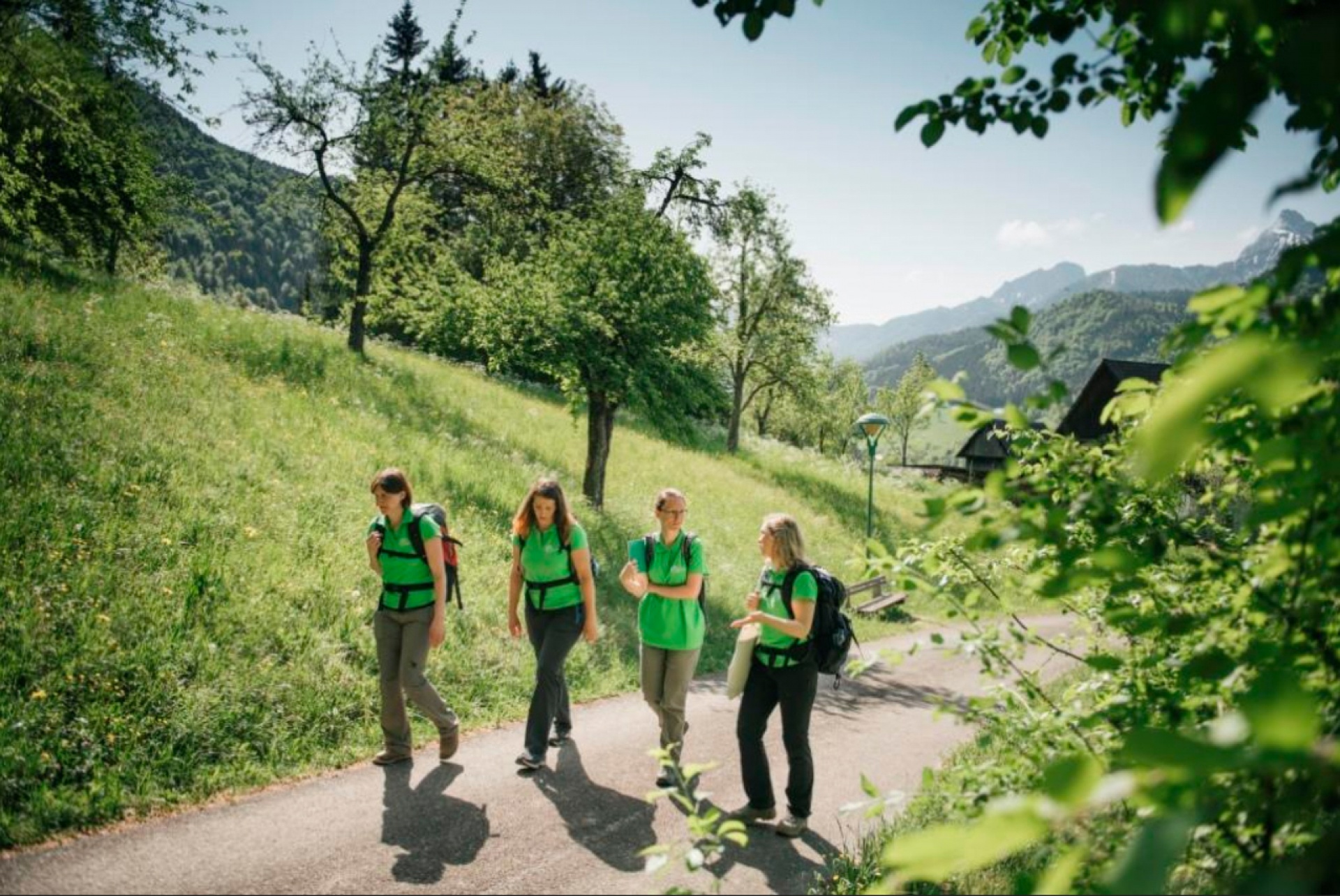 Offener Job - Karenzvetretung