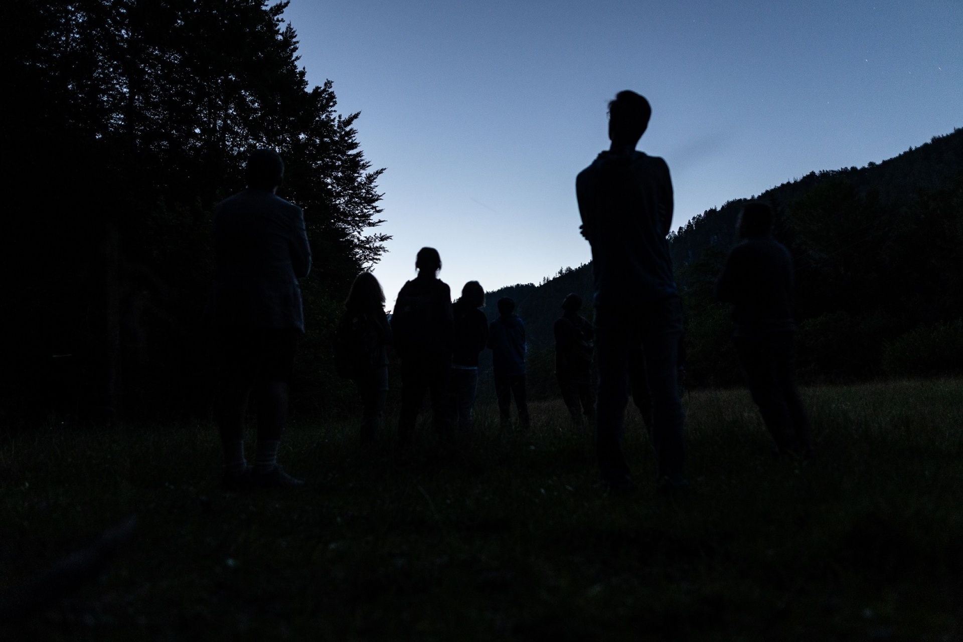 Erlebe die Magie der Nacht