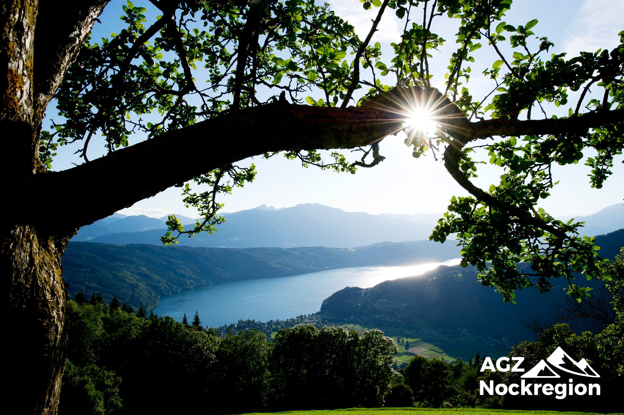 Der AGZ NOCKREGION ist online!