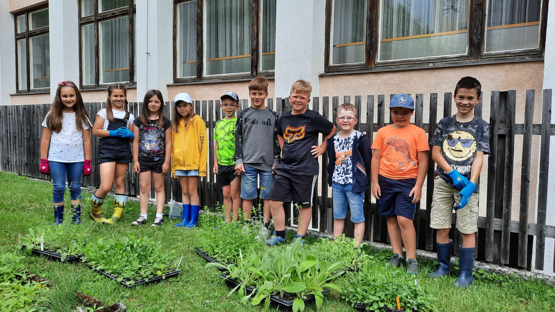 „Bunte Wies’n wie früher“ – der Natur- und Geopark Steirische Eisenwurzen setzt auch 2021 auf Wildblumen