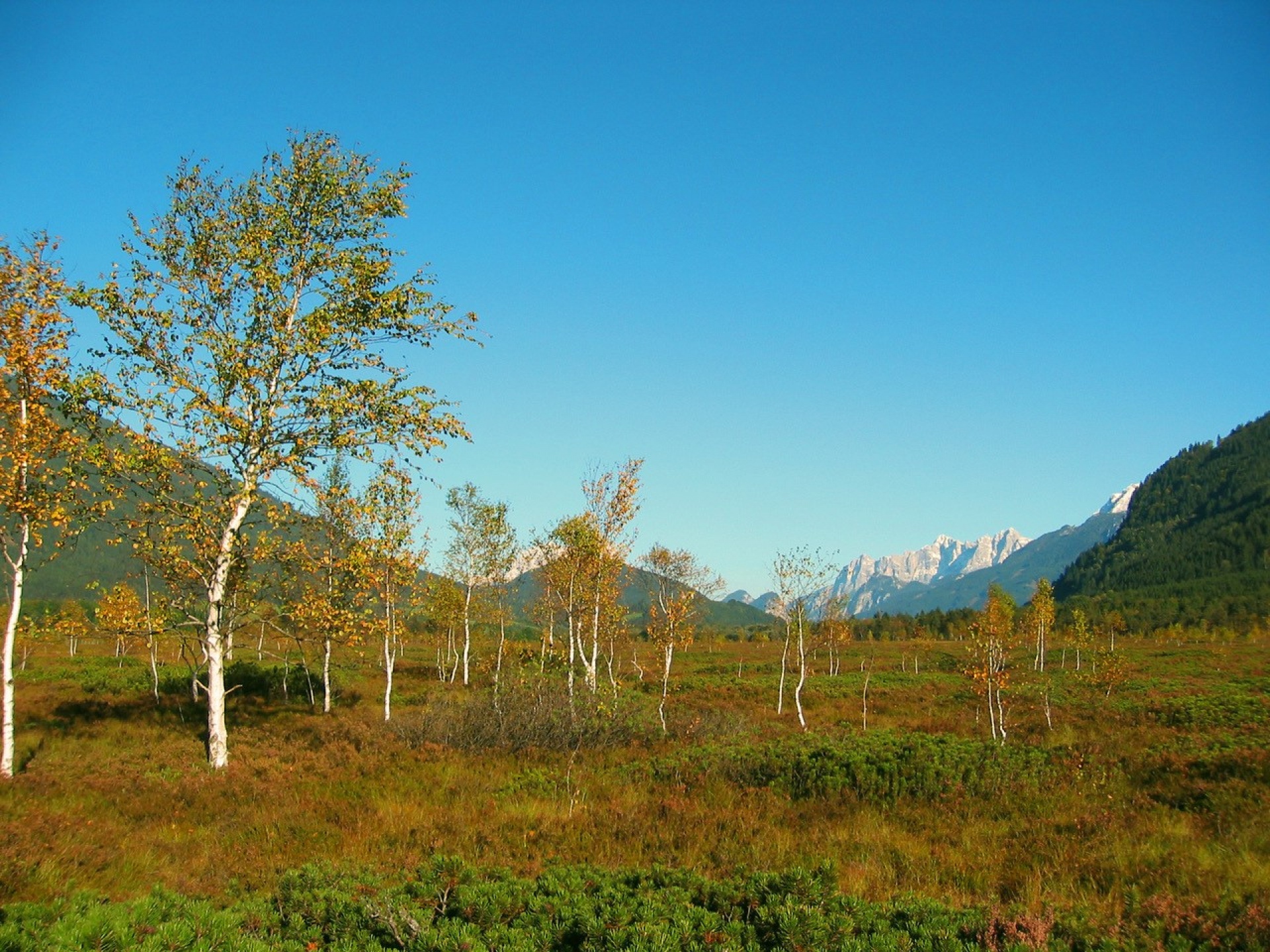 9 Plätze - 9 Schätze - Pürgschachen Moor