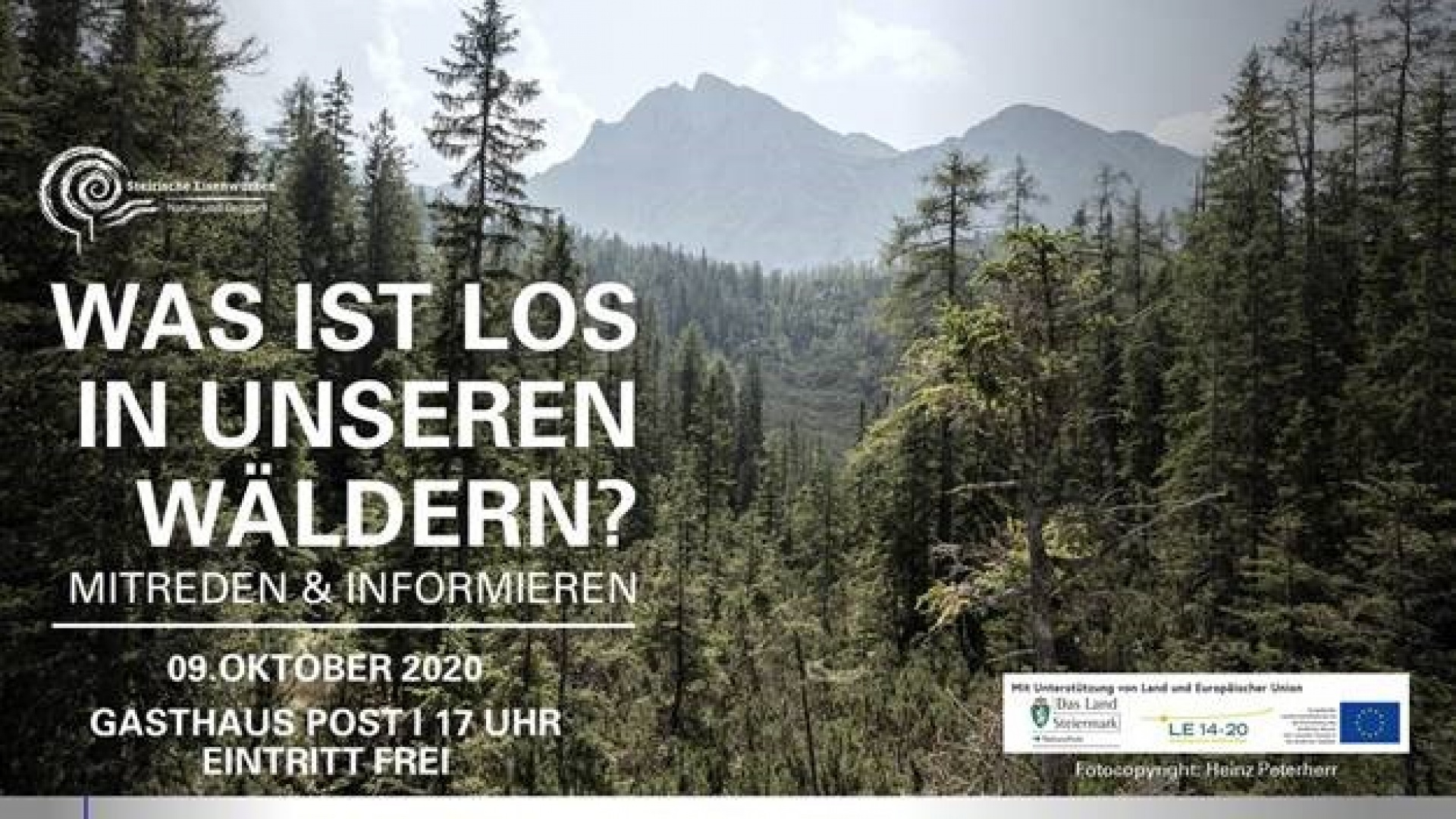 9.10.2020 Einladung | Was ist los in unseren Wäldern?